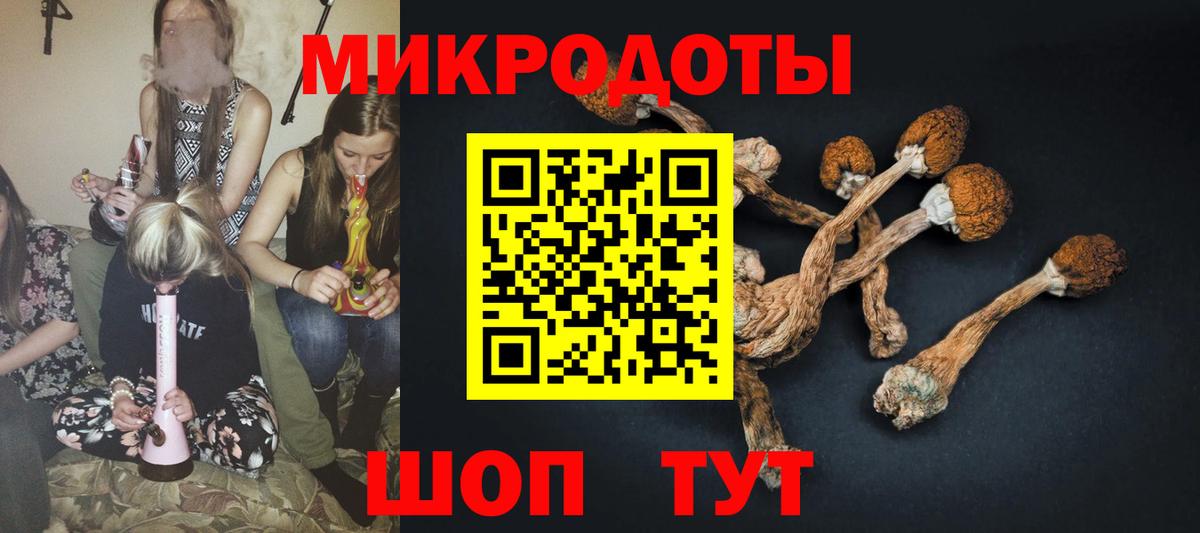 Прохладный  Галлюциногенные грибы мухоморы  Вход с VPN  Псилоцибиновые грибы MAGIC MUSHROOMS 